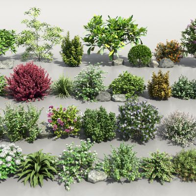 现代花卉灌木组合3D模型