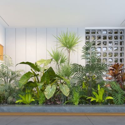 现代庭院植物组合