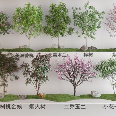 现代花树植物组合