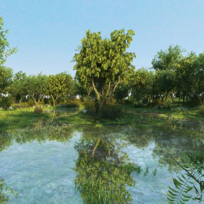 现代湿地公园景观