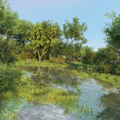 现代湿地公园景观3D模型