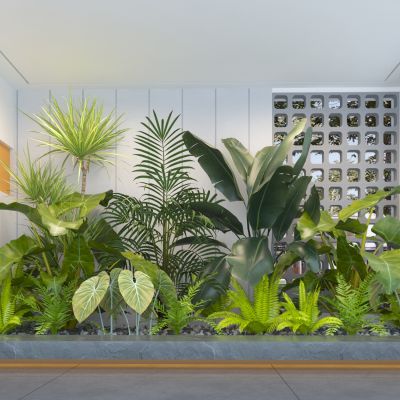 现代庭院植物组合