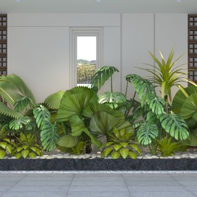 现代庭院植物组合 