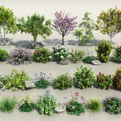 现代花卉灌木组合