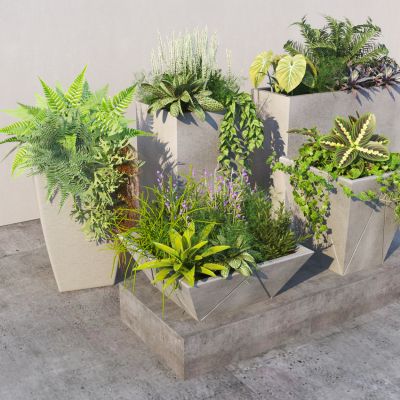 现代植物盆栽花钵 