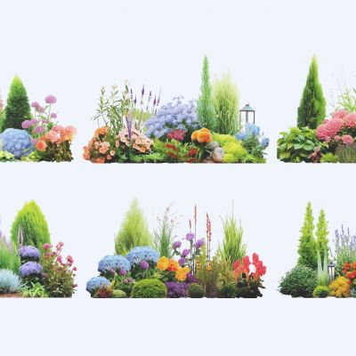 植物组合_花境植物组团_盆栽组合_树池植物组合