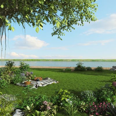 现代公园植物景观