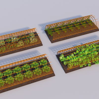 现代蔬菜种植基地菜园3D模型