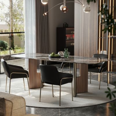 意式长条餐桌椅 轻奢五金餐桌椅