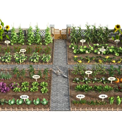 现代蔬菜园菜园景观
