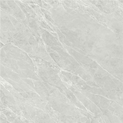 蒙娜丽莎现代简约轻奢仿大理石新拿铁灰瓷砖