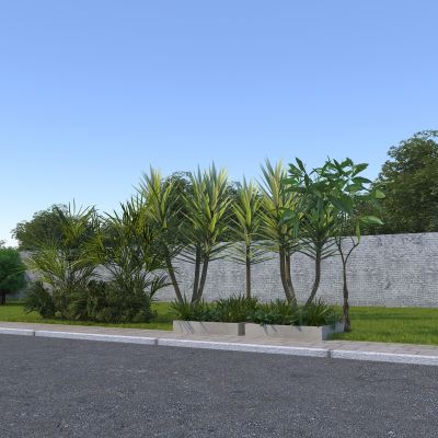 道路