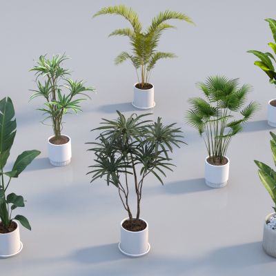 現(xiàn)代盆栽組合3D模型
