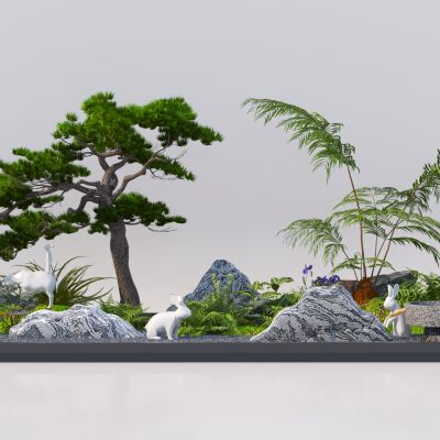 现代室内造景 松树景观树