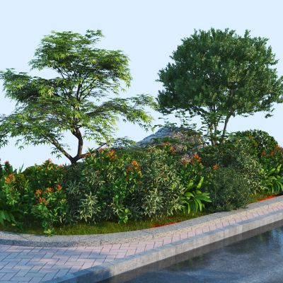 现代植物组合 植物堆