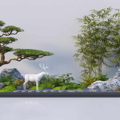 现代庭院造景 