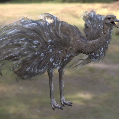 小美洲鸵 lesser rhea 美洲鸵科美洲鸵属南美不会飞鸟类草原鸟类濒危鸟类