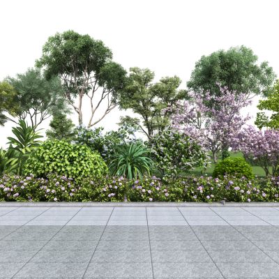 现代景观植物组合3D模型