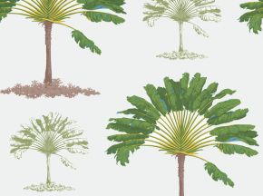 儿童壁纸普罗旺斯