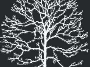 精裱画
