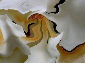 精裱画