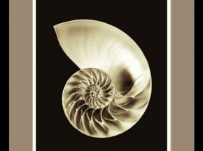 精裱画