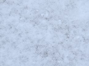 雪地