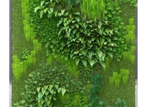 绿化墙植物墙