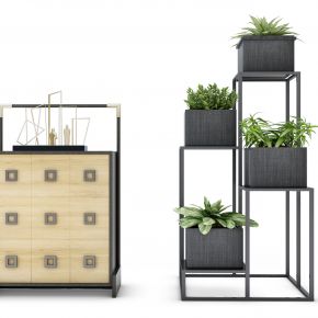 盆栽植物装饰柜