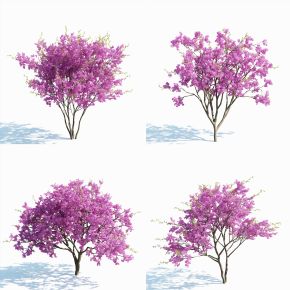 树木，花树，红花树，紫花树，樱花树