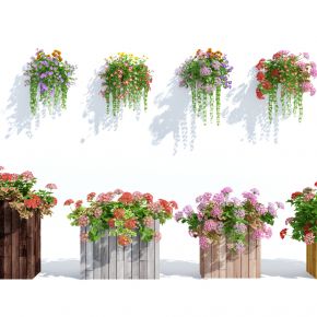 现代盆栽，小盆栽，花，花盆，吊篮，花篮，植物装饰品，植物摆件
