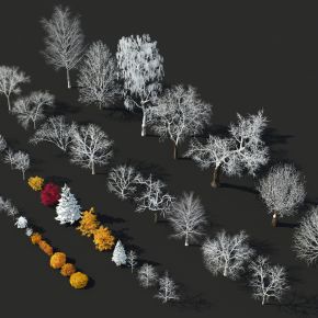 现代树木，冬季树木，树木组合，雪树，枯树，冬季植物，秋季树木