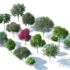 现代树木树木组合园林景观树枫树红叶树花树园林植物3d模型下载