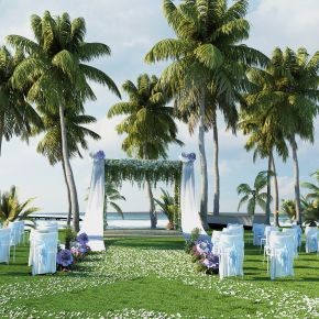 现代婚礼场景，海边，椰树，棕榈树，园林景观，露天婚礼，热带树