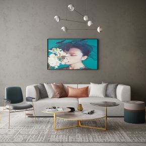 现代家居组合，饰品，沙发柜子挂画