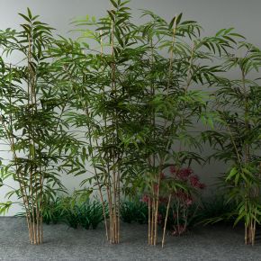 新中式竹子 草
