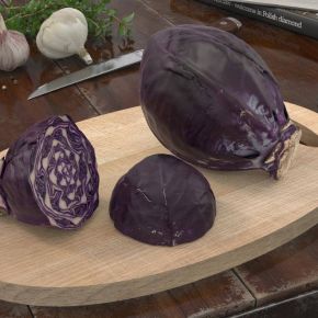 现代紫菜