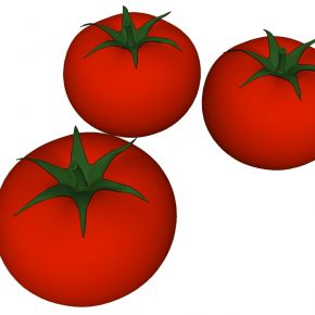 蔬菜番茄西红柿