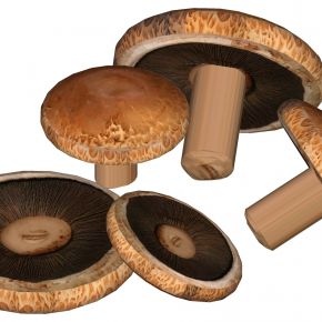 蔬菜香菇蘑菇