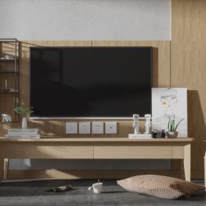 现代北欧实木客厅轻奢电视柜