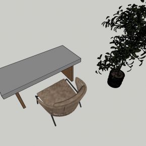 现代风格书桌休闲椅植物组合