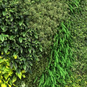 现代绿植墙，绿植墙，植物墙，绿化墙，垂直绿化，植物挂画，植物墙饰