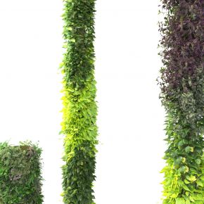 现代绿植墙，绿植墙，植物墙，绿化柱子，垂直绿化，植物柱子，绿植柱子