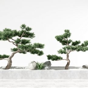 新中式松树盆栽 盆景