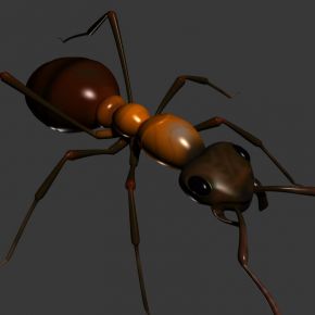 现代蚂蚁