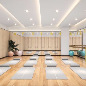 现代瑜伽室，健身房
