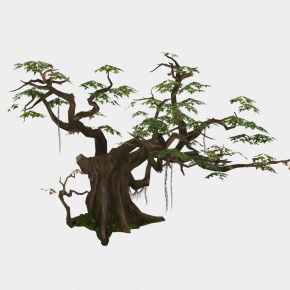 现代植物 条藤树木 