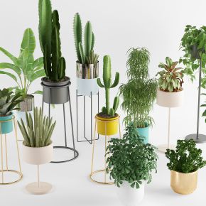 北欧绿植盆栽