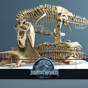 恐龙博物馆骨架