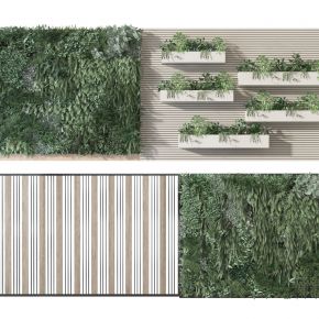 现代庭院  植物墙